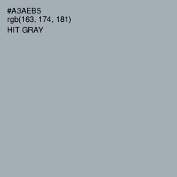 #A3AEB5 - Hit Gray Color Image